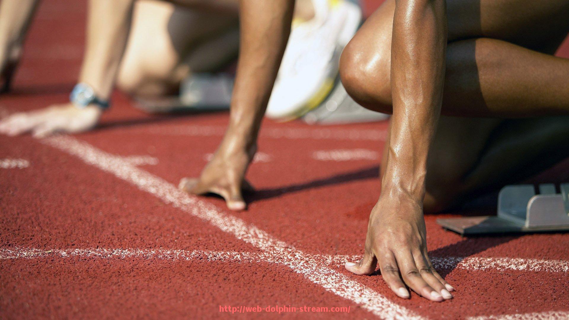 海豚直播-佛山是否还有CBA球队主场？历史与现实解析