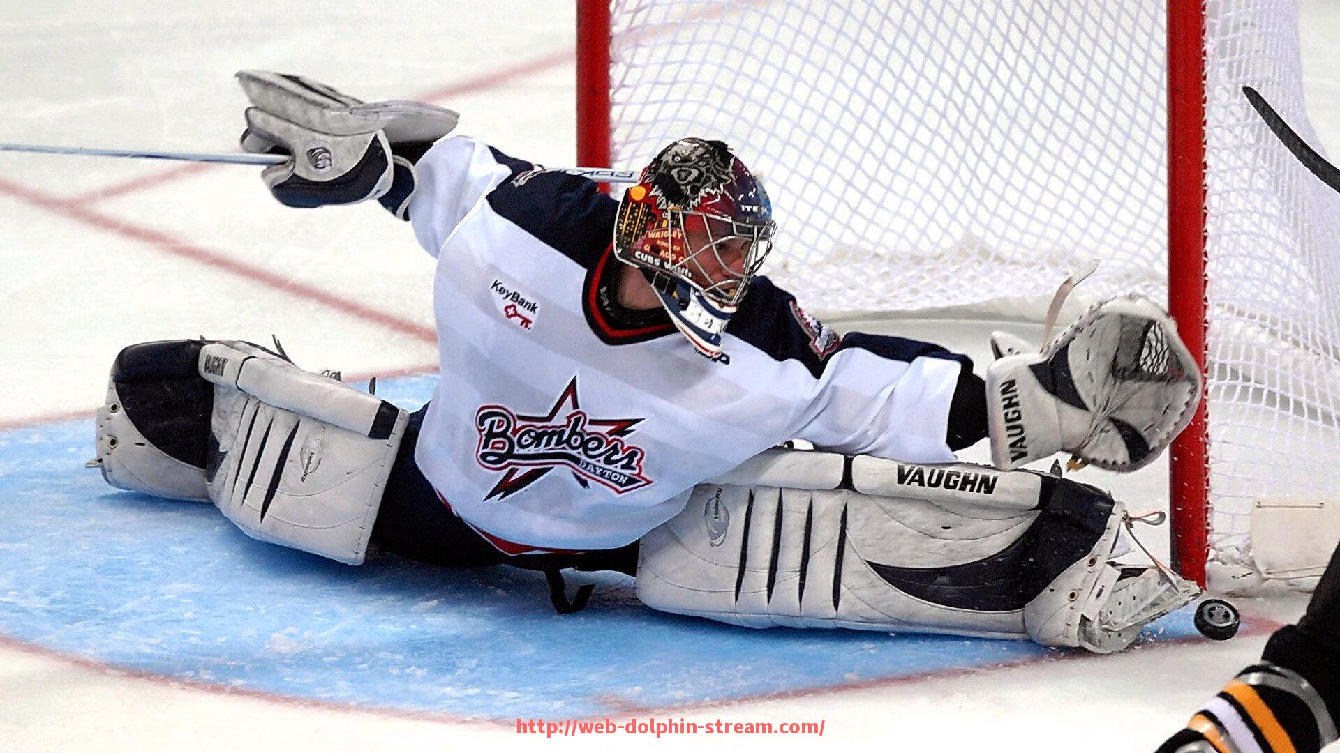 海豚直播-哪些球队才称得上德甲劲旅？数据与荣誉全面评估