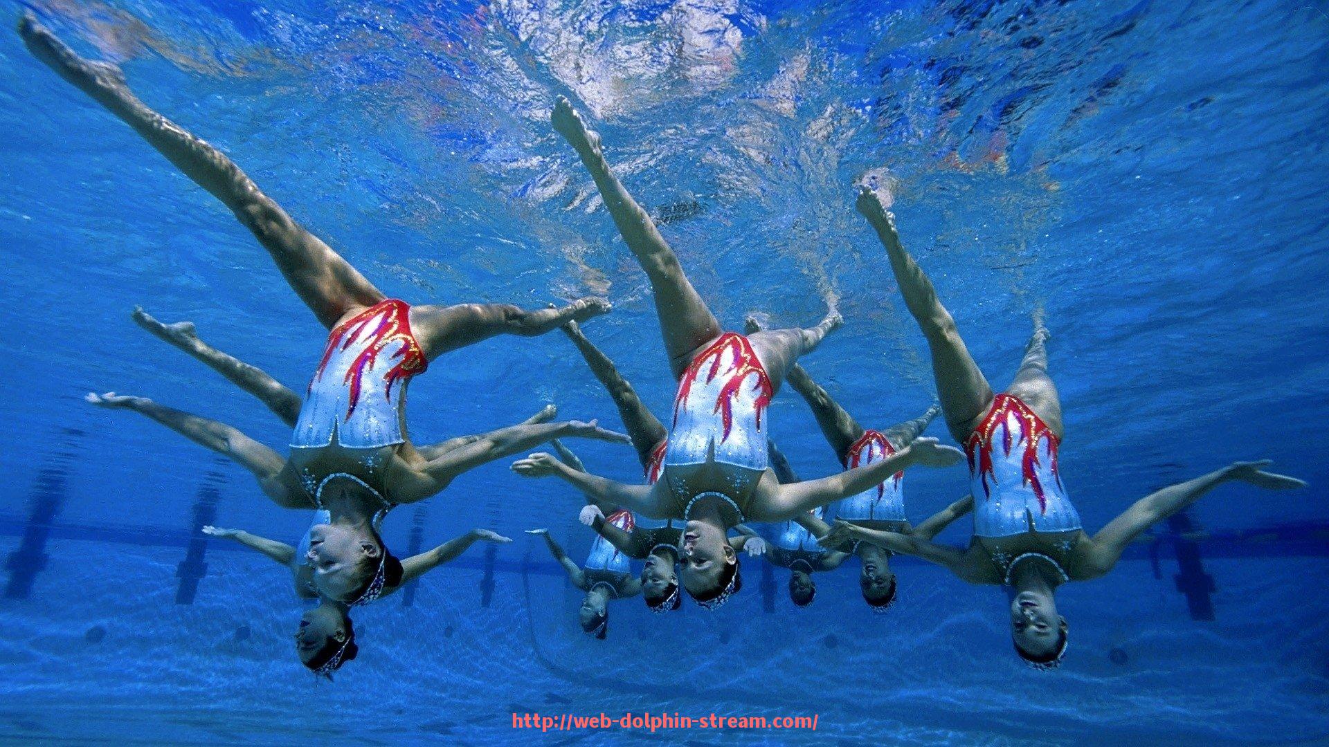 海豚直播-CBA足球裁判的执法标准和挑战有哪些？（cba裁判是怎么安排的）